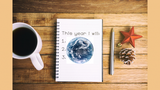 Make Plastic-Free Living your one New Year’s Resolution that will succeed
